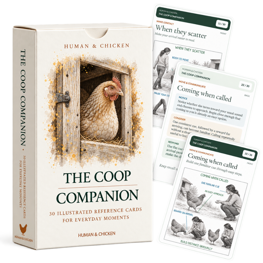The Coop Companion