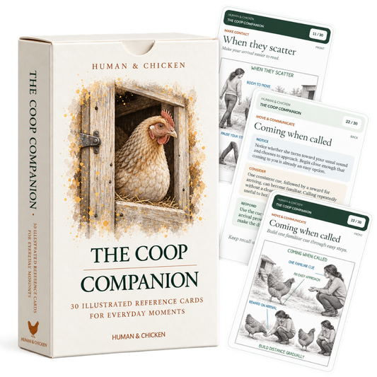 The Coop Companion